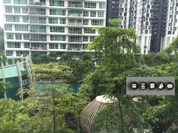 Tree House (D23), Condominium #125126892